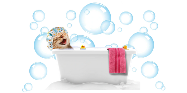 Nail Trim
Lion Cut
Nail Caps
Sanitary Trim
Belly Shave
Mats
Shedding
Hairballs
Mobile Cat Groomer