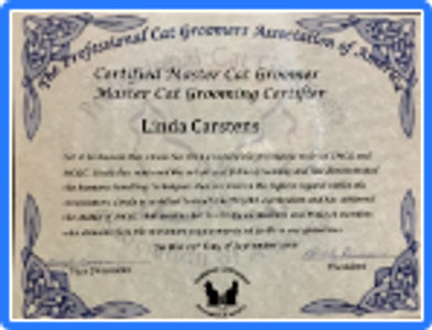 CMCG Certificate