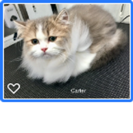 Carter-after groom