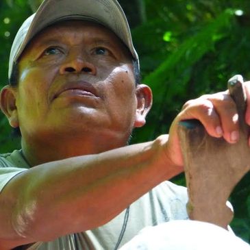 Jungle Hike and Bastimentos Bat Cave Tour