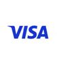 The blue VISA logo on a white background.