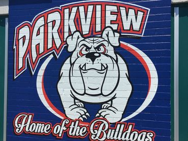 Wall mural for school using Arlon DPF 6700 high-conforming vinyl to really get in all the grooves.