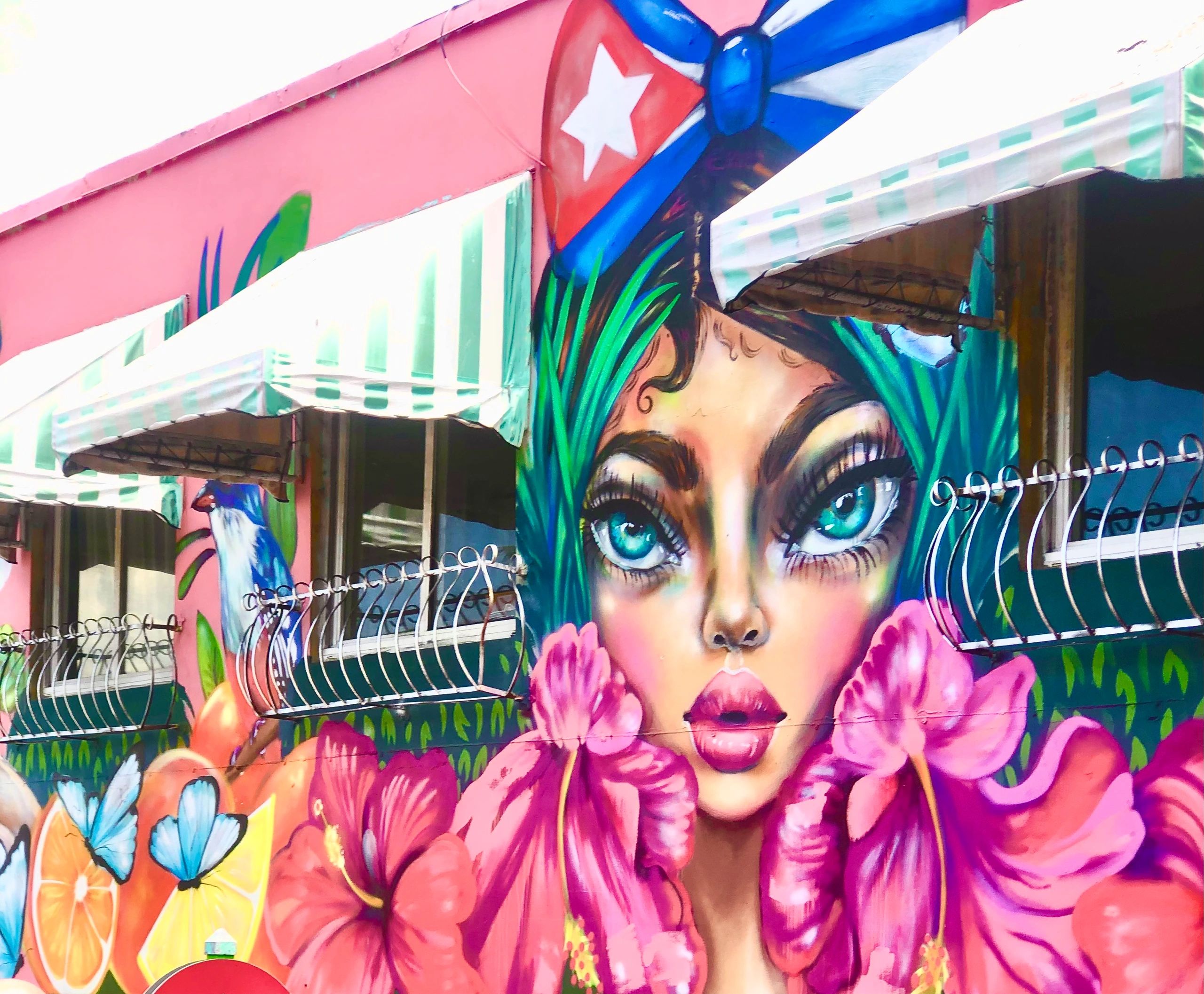 🌷Little Havana Miami Beach 🏖 Florida
Photographer Carol Allen, 2022