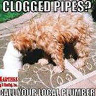 Martinez Plumbing and Heating Cheyenne
Service, Repair and Installation Faucets Fixtures Tub Spout Valve
Clogged Pipes Drain Sewer Water Camera Inspection