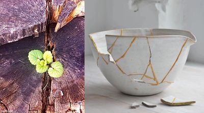 Survive and Thrive in a Parent Alienation Campaign. Parent Aleination Coaching and Guidance.