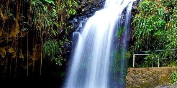 Scenic waterfall cascading from rocks surrounded by greenery.