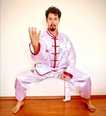 Man in traditional martial arts attire striking a pose.