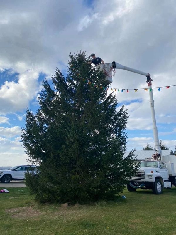 A client asked if we'd help give her a Griswald tree in her yard. She loved it and sent us these!