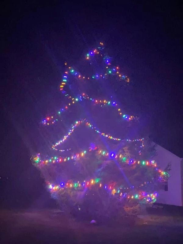 A client asked if we'd help give her a Griswald tree in her yard. She loved it and sent us these!