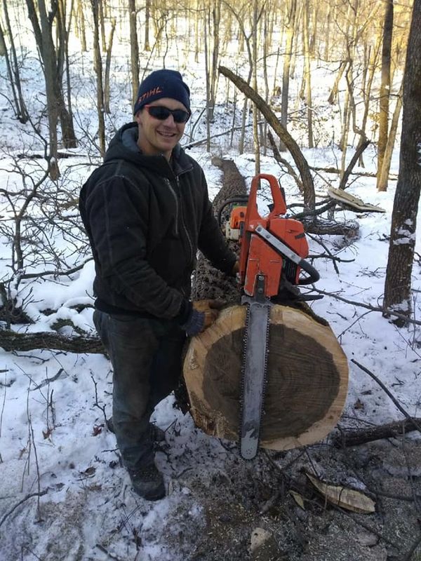 Levi and a veneer walnut tree on a logging job.