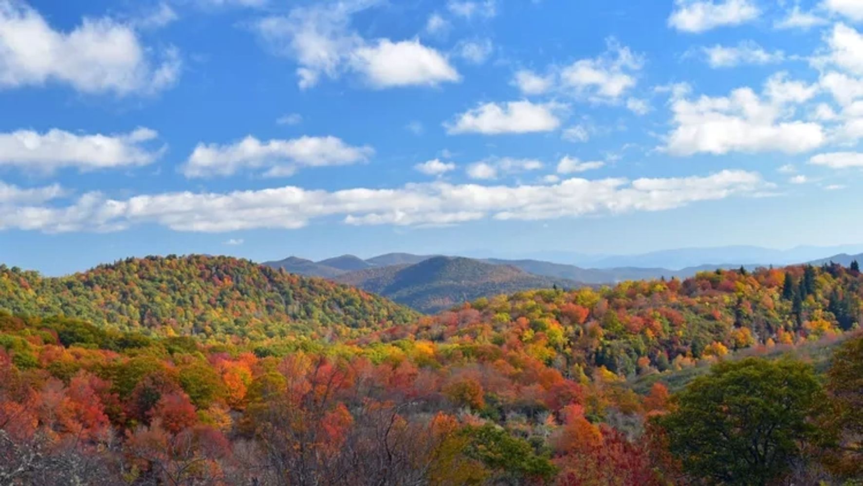 www.ExploreAsheville.com
