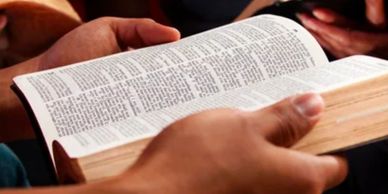 Person reading an open book, likely a Bible.