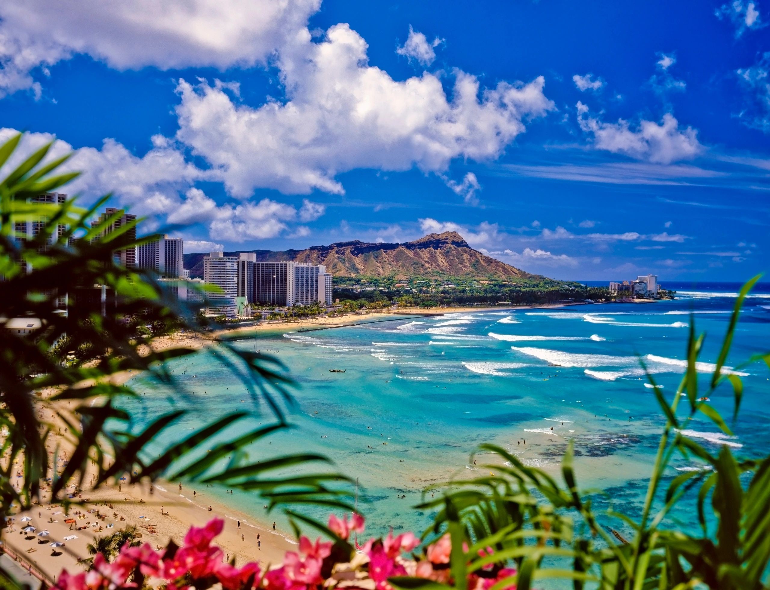 Explore Honolulu for a few days to help break up the rip!
