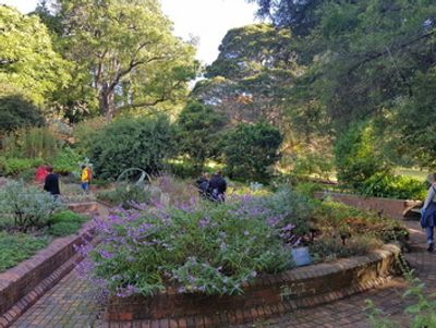 Herb Garden
Royal Botanic Gardens, Melbourne, VIC