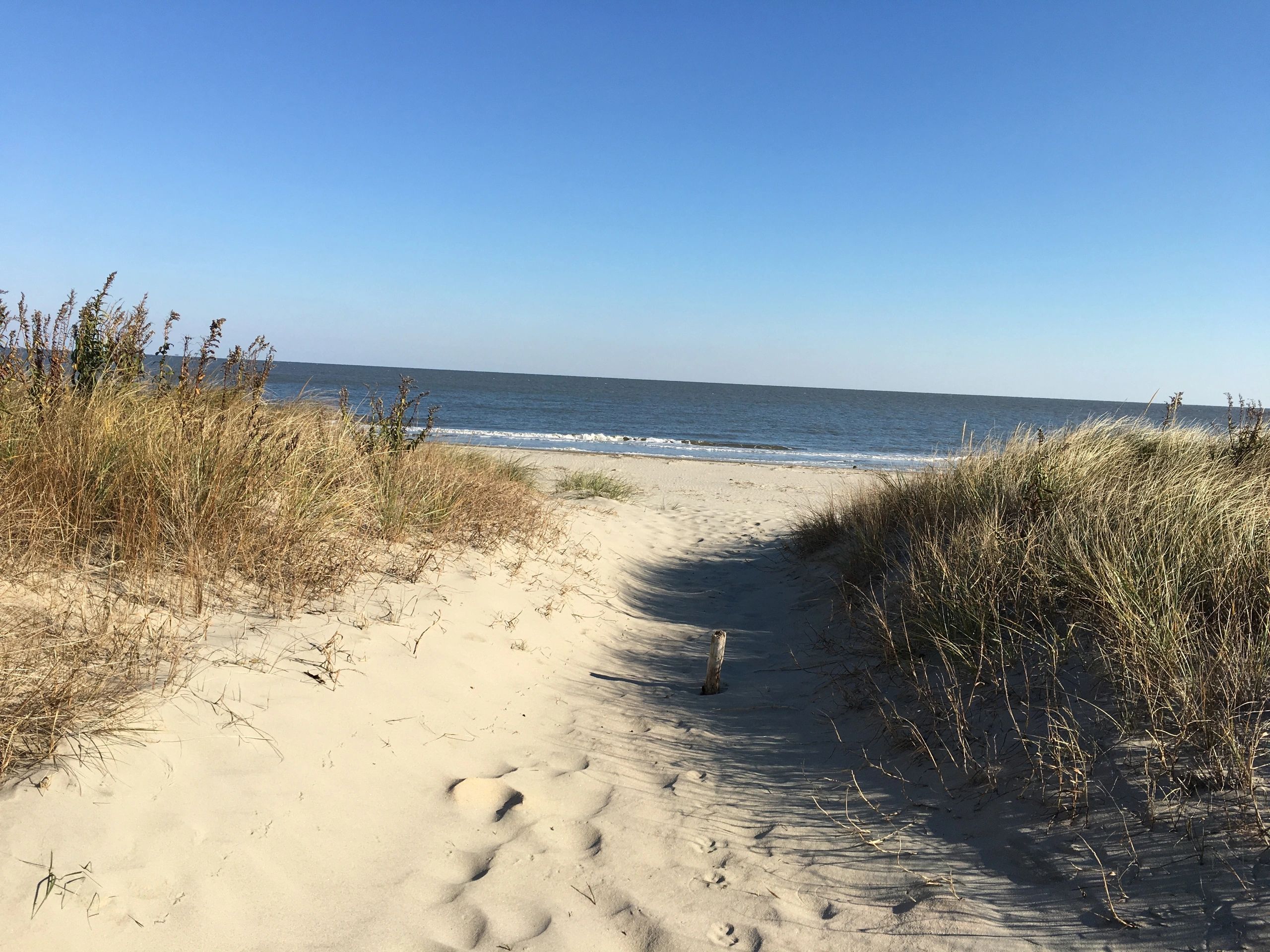 Grey Gulle Broadkill Beach Rental, Delaware Vacation Rental