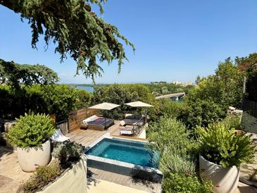 A serene backyard with a small pool, loungers, umbrellas, and lush greenery under a clear blue sky.