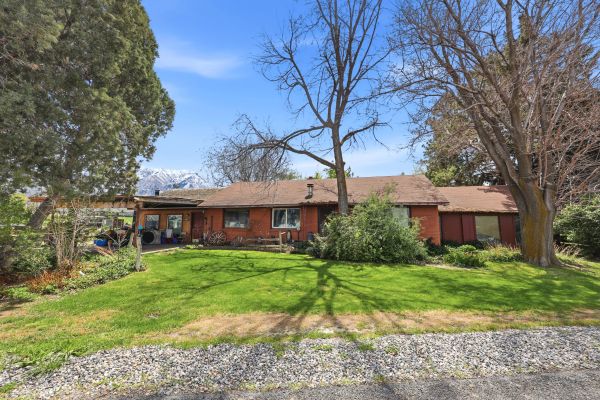 Single-story brick house with a large front yard and trees in a suburban setting.