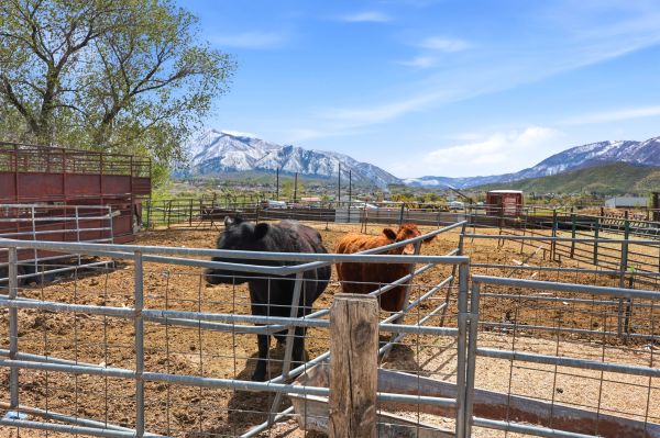 Two horses stand in a fenced dirt corral with mountains in the background.