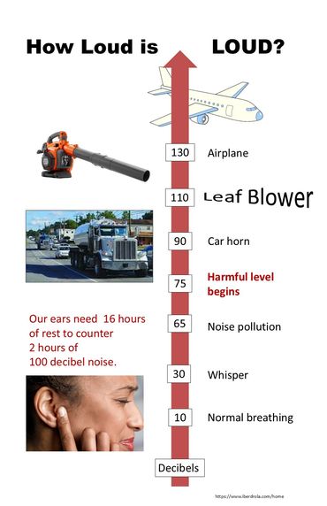Poster showing decibel level of sounds from a whisper to a jet plane, and what level is harmful.