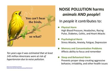 Poster showing the harm noise pollution does to people's physical, emotional, and mental health.