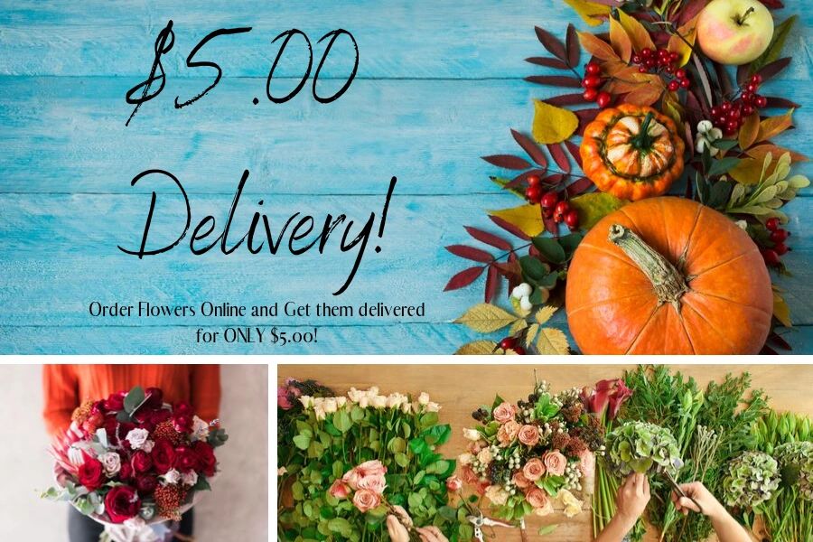 Jill's Flower Shop Oxford Flowers, Florist, Free Flower Delivery