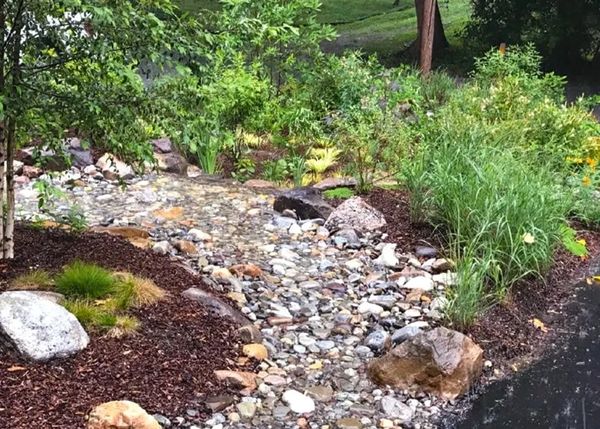 Functional Rain Gardens filture and capture water runoff to benefit the existing landscape.