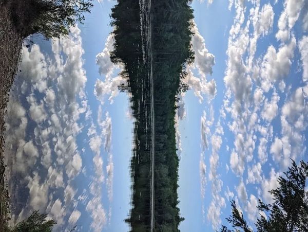 a photo of lake reflecting a blue sky with clouds is rotated so the forested horizon is vertical