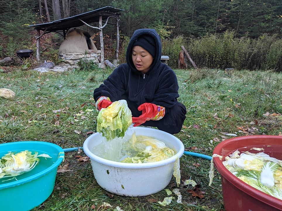 a non-binary korean person wearing black and red rubber gloves, squats to bathe brining napa cabbage