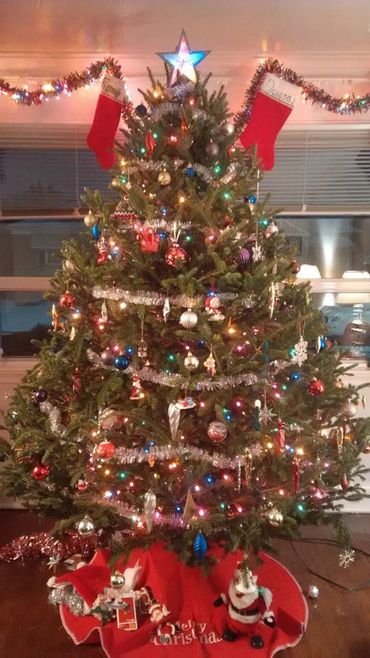 7' Premium Grade Fraser Fir Christmas Tree