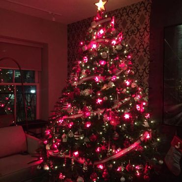 8' Premium Grade Fraser Fir Christmas Tree