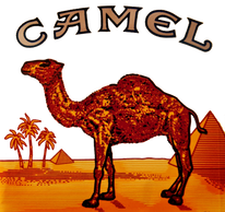 camel cigarettes