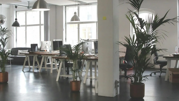 Modern office space with desks, plants, and ample natural light through large windows.