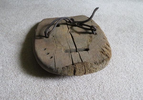 marsh clog
