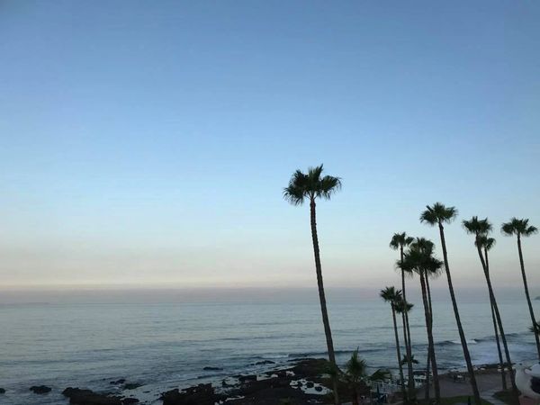 Las Rosas Hotel and Spa, Ensenada, Mexico