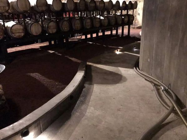 Decantos Vinicola, Valle de Guadalupe, Mexico