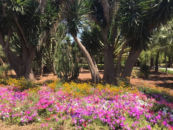 Anton Gardens, Malta