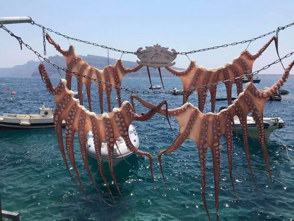 Ammoudi Fish Restaurant, Santorini