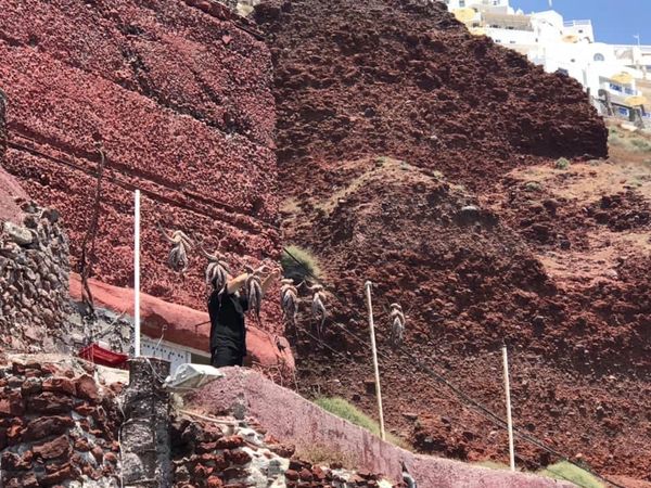 Ammoudi Fish Restaurant, Santorini
