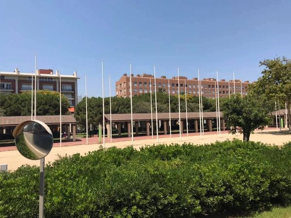 Olympic Flagpoles from the 1992 Barcelona Games
