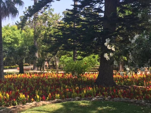 Anton Gardens, Malta