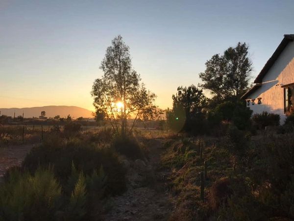 Laja, Valle de Guadalupe, Mexico