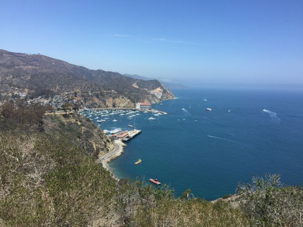 View up top, Catalina Island