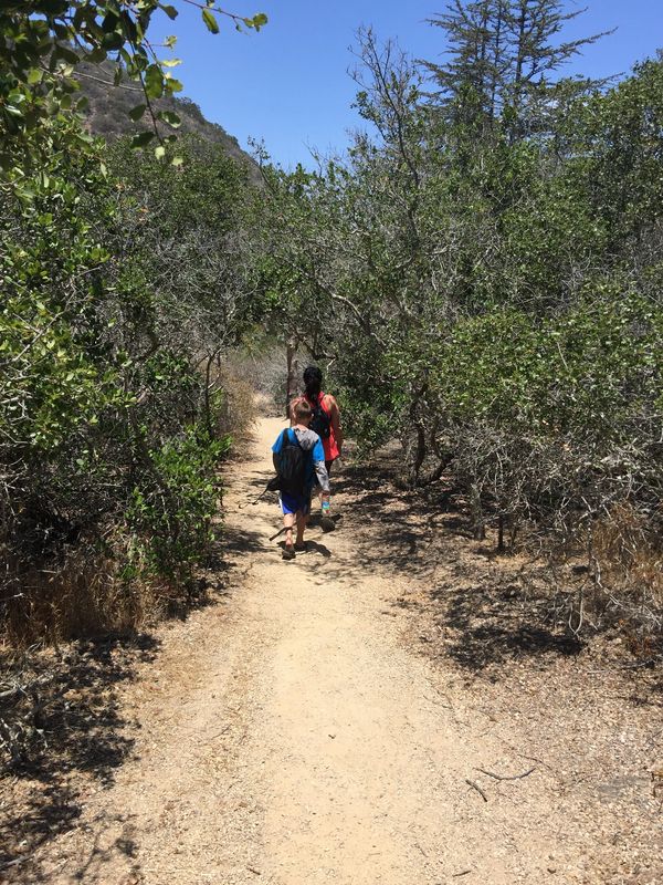 Wrigley Memorial and Botanical Gardens, Avalon, Catalina