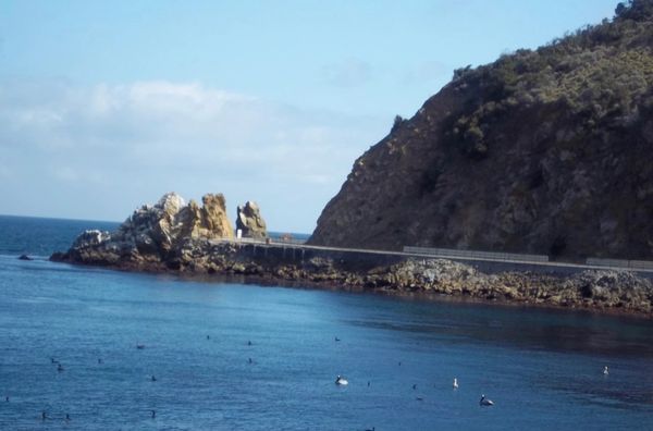 Lover's Cove, Avalon, Catalina