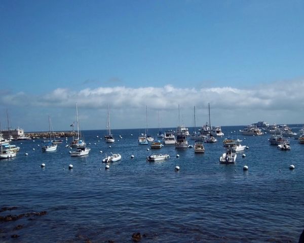 Avalon, Catalina