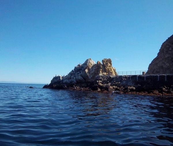 Lover's Cove, Avalon, Catalina