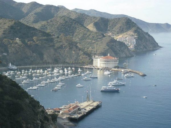 View up top, Catalina Island