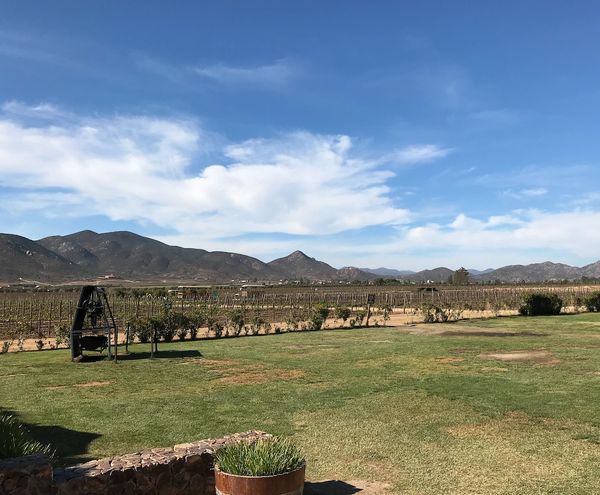Monte Xanic, Valle de Guadalupe, Mexico