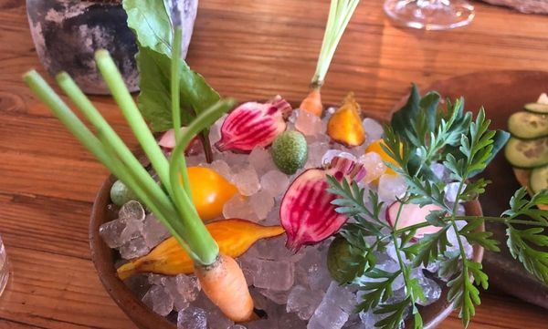 Fauna, Valle de Guadalupe, Mexico