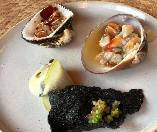 Fauna, Valle de Guadalupe, Mexico